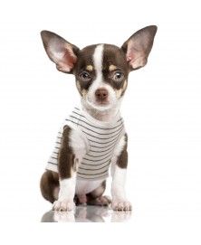 Raoul T-Shirt striped ecru and grey anthracite for dogs - Milk&Pepper