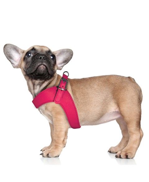 Dandy Parachute Harness for dogs - Milk&Pepper