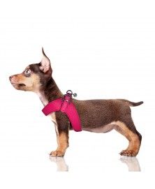 Dandy Parachute Harness for dogs - Milk&Pepper