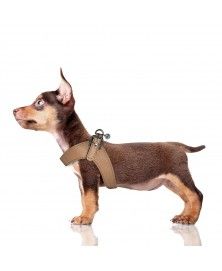 Dandy  Harness for dogs - Milk&Pepper