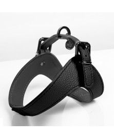 Dandy Harness Black for dogs - Milk&Pepper