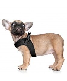 Dandy Harness Black for dogs - Milk&Pepper