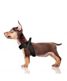 Dandy Harness Black for dogs - Milk&Pepper