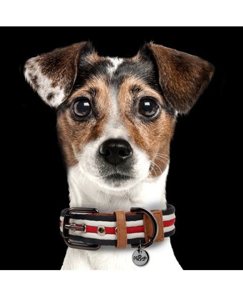 Heritage Dog Collar - Milk&Pepper