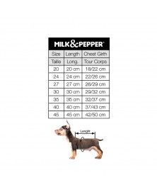 Pull Wizard pour chiens - Milk&Pepper