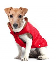 Campus Coat for dogs - Milk&Pepper