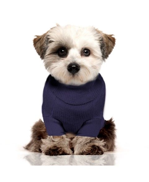 Norah Sweater for dogs - Milk&Pepper