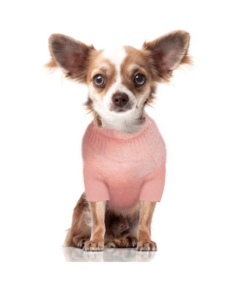 Emma Sweater for dogs - Milk&Pepper