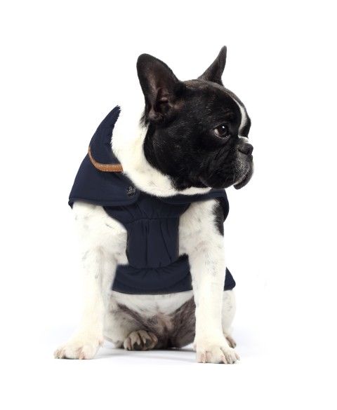 Campus Coat for dogs - Milk&Pepper