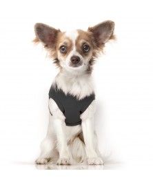 T-Shirt Happy Noel noir pour chien Milk&Pepper