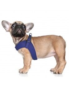 Milk&Pepper Blue Dandy Harness for dogs