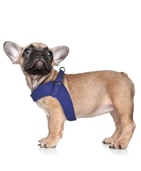 Milk&Pepper Blue Dandy Harness for dogs