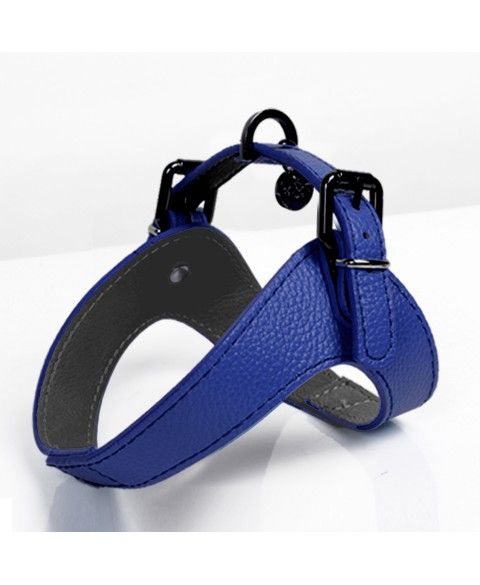 Milk&Pepper Blue Dandy Harness for dogs