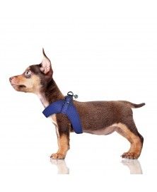 Milk&Pepper Blue Dandy Harness for dogs